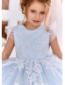 Feifei Sleeves Ivory Lace Sky Blue Tulle Flower Girl Dress